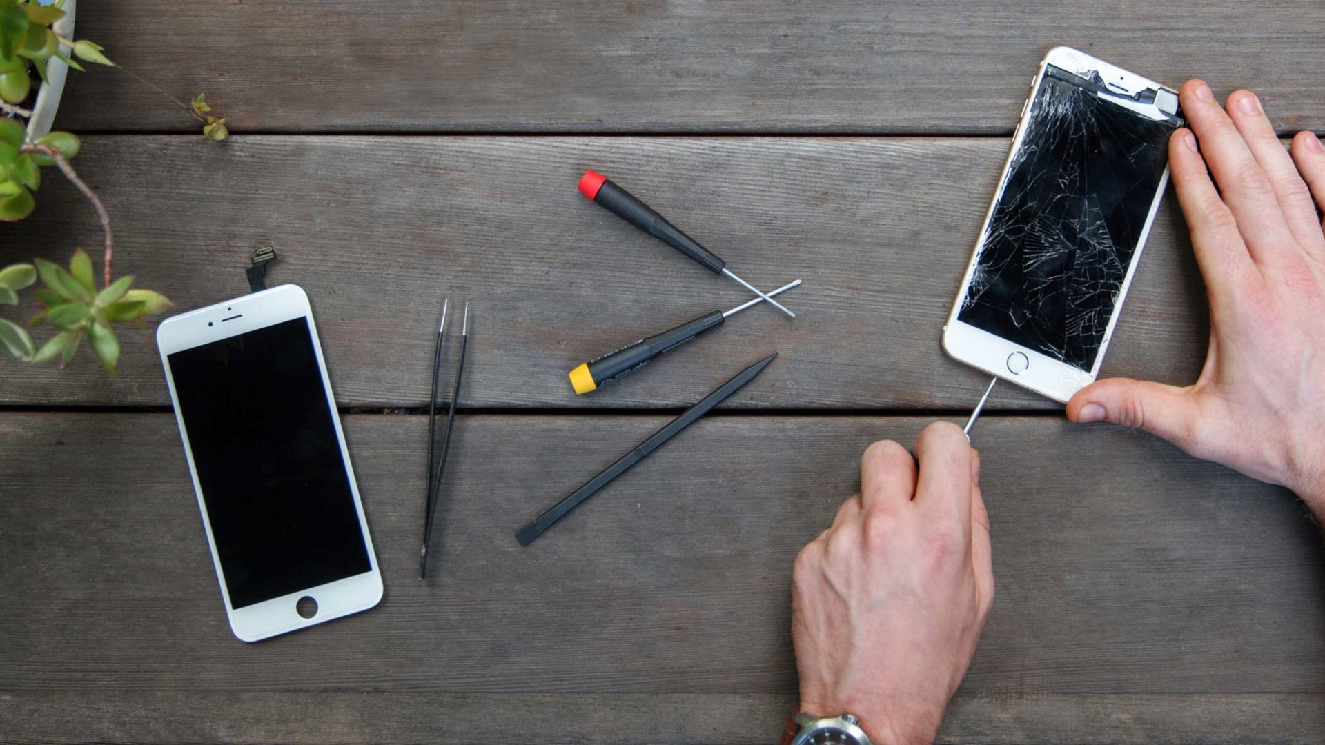 lumiere international tour packages